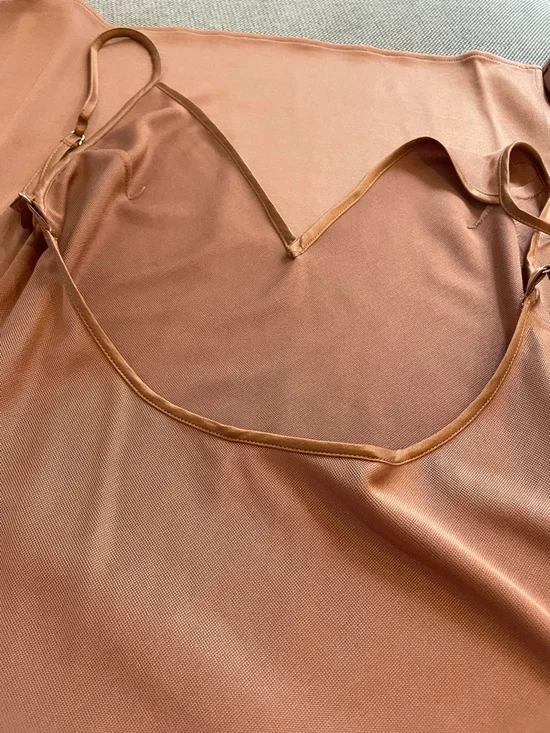 Fleur du Mal Slip Maxi Dress in Antique Rose - Picture 5 of 10